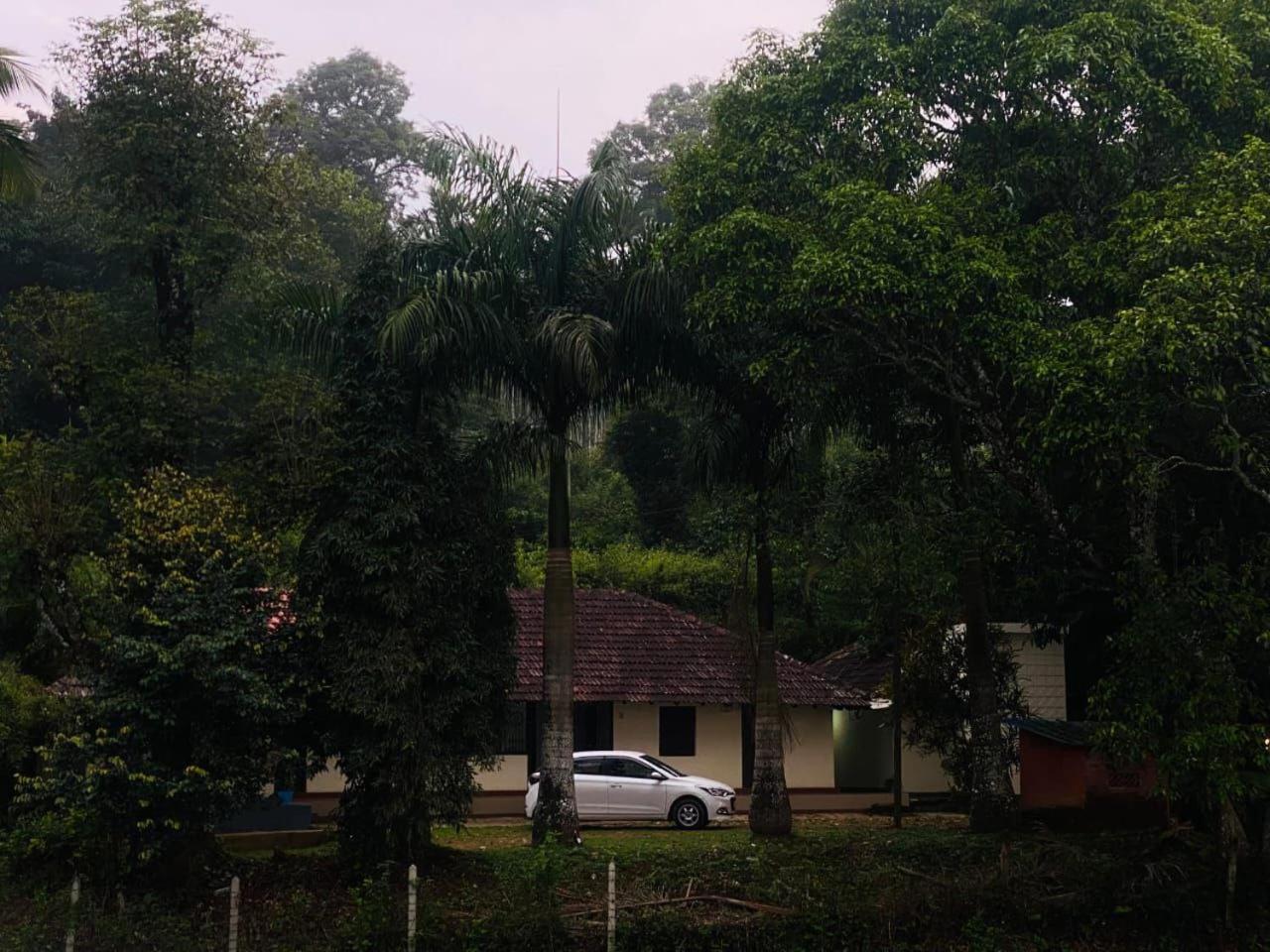 Wintervilla * Meppadi